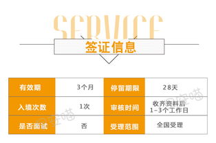 缅甸旅游电子签证 喵喵免费咨询，快速出签仅需护照拍照与电子照片